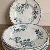 6 flat plates - Terre de fer, Acacia service