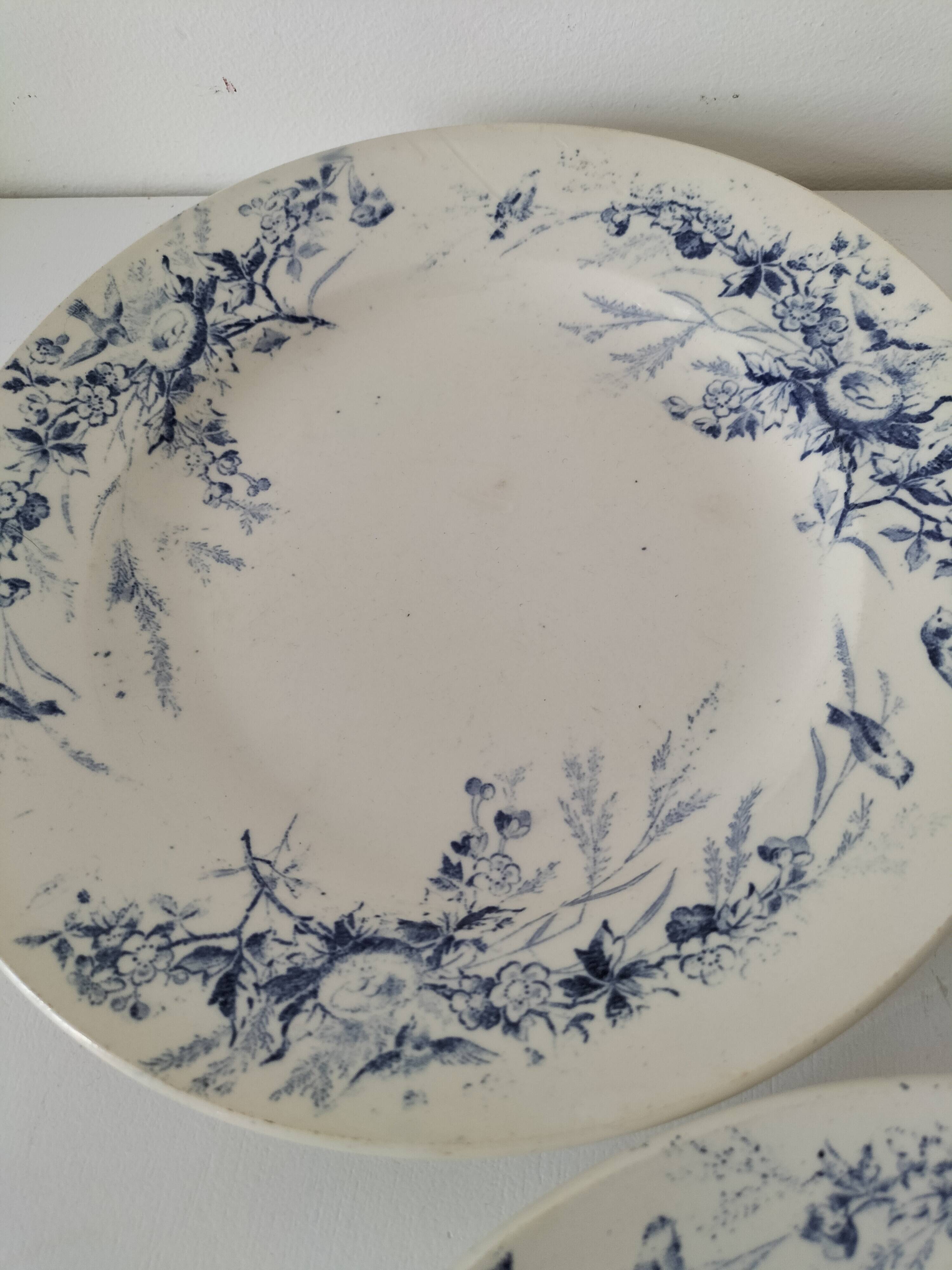 Creil Montereau Plates Linotte Model