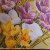 Photo under glass, welcome to spring "crocus fields".