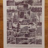 Original lithographs on forest and forest trees