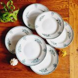 10 assiettes plates Saint Amand 1932