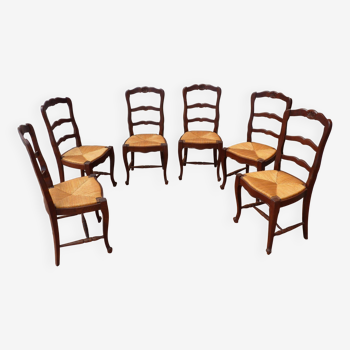 6 chaises en chêne paillées