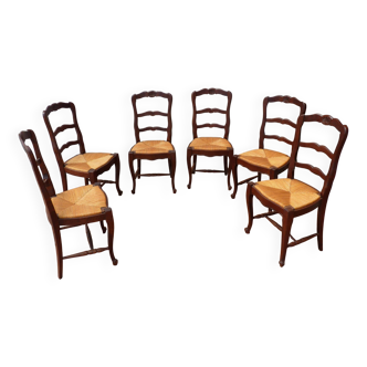 6 chaises en chêne paillées