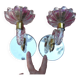 Pair of cup mirror sconces, Murano, vintage, 1940s