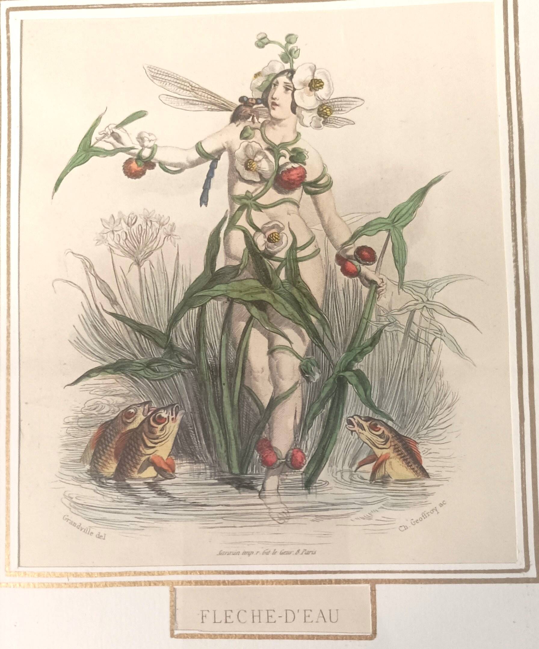 Animated Flowers Frame by JJ Grandville - Water Arrow