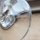 6 coupes en cristal Zwiesel Glas Germany Parma