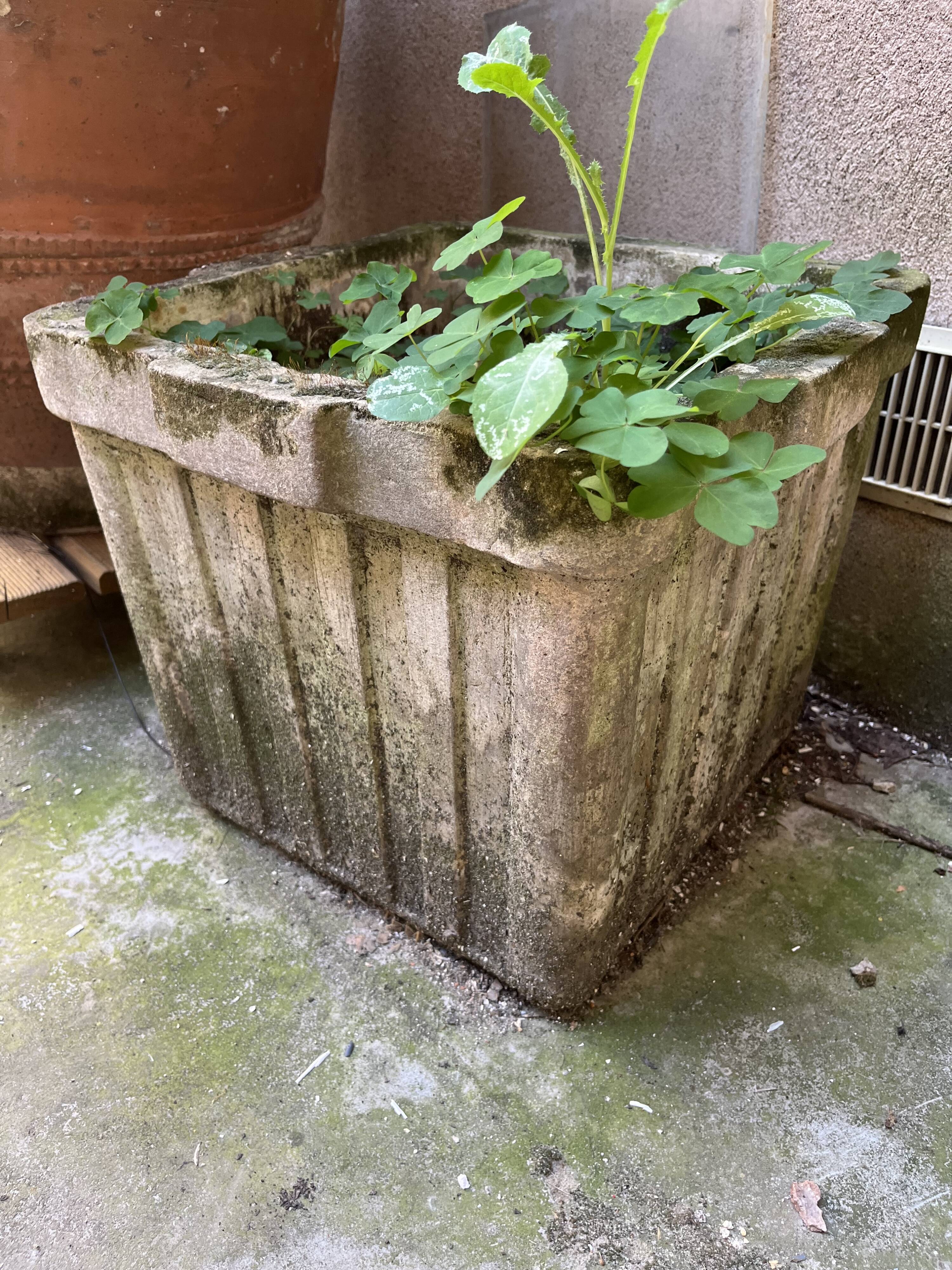 Square planter in concrete/cast cement