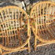Vintage set for children in rattan