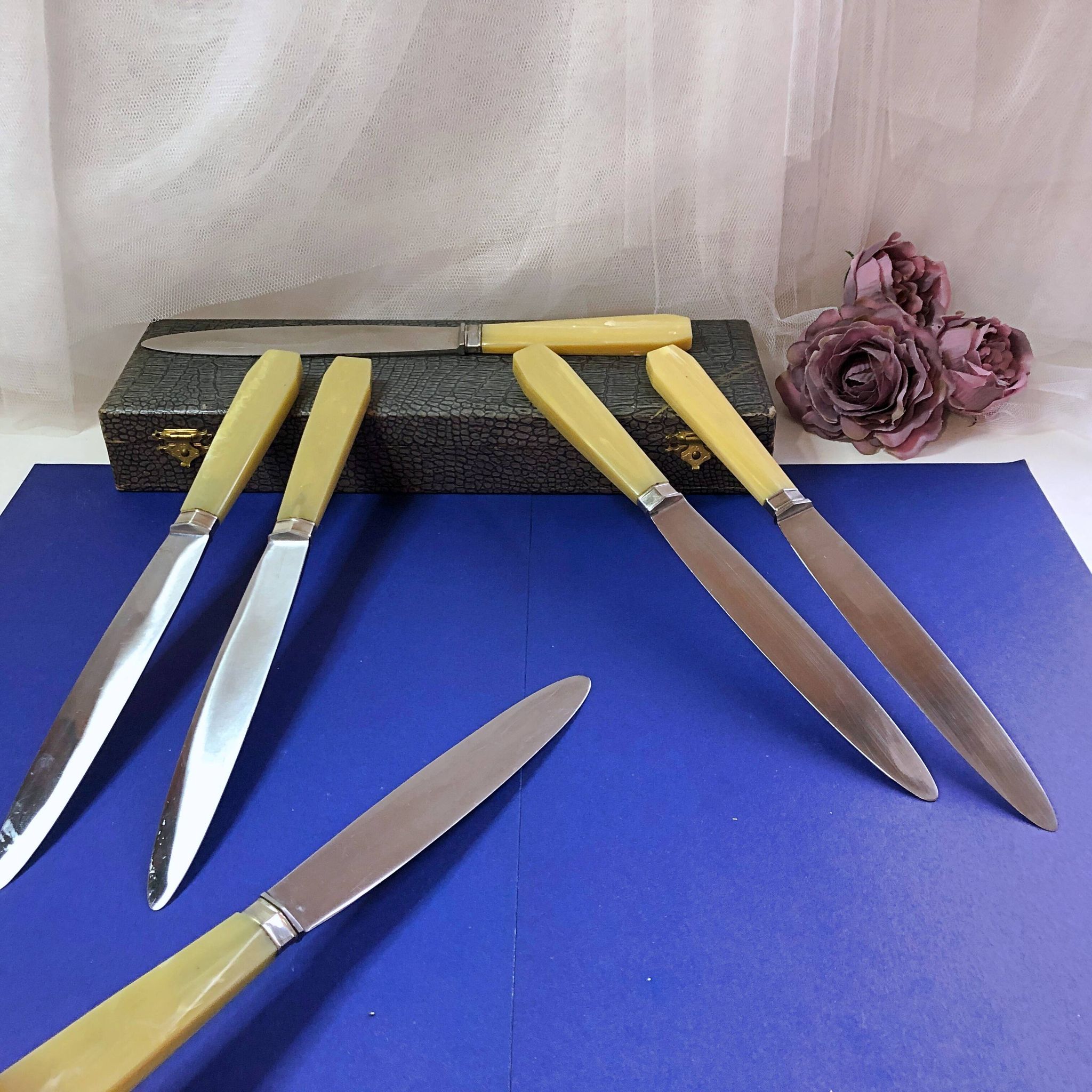 Coffret de 6 couteaux de table manche bakélite France début XXe