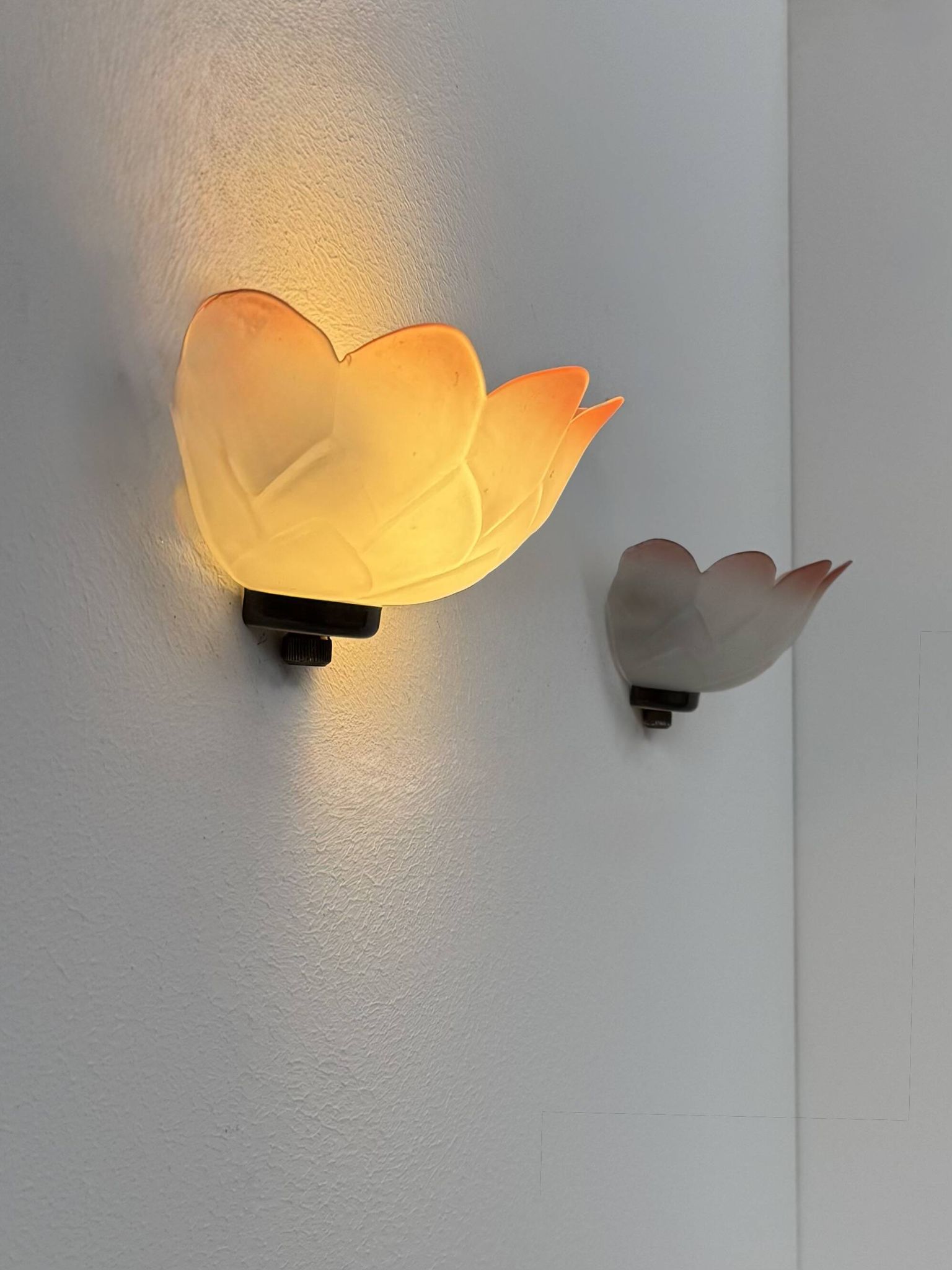 Vintage "flower" wall sconces, glass, France, 1970.