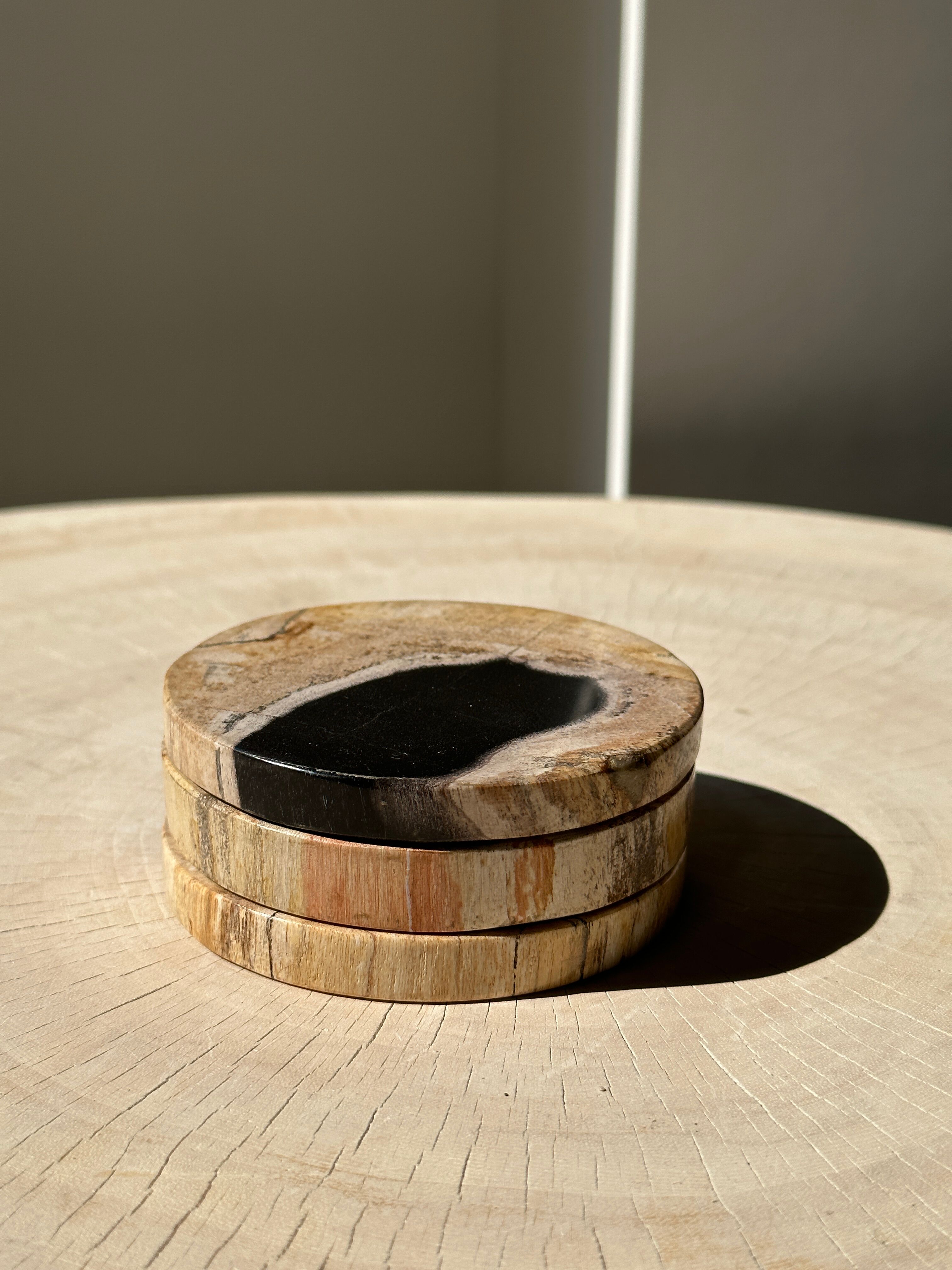 Set of 3 fossilized wooden coasters (clear)