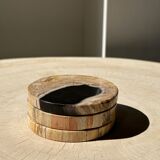 Set of 3 fossilized wooden coasters (clear)