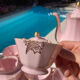Magnificent service in art deco pastel pink porcelain.