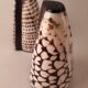 salt salt shaker sea shell real vintage nature curiosity