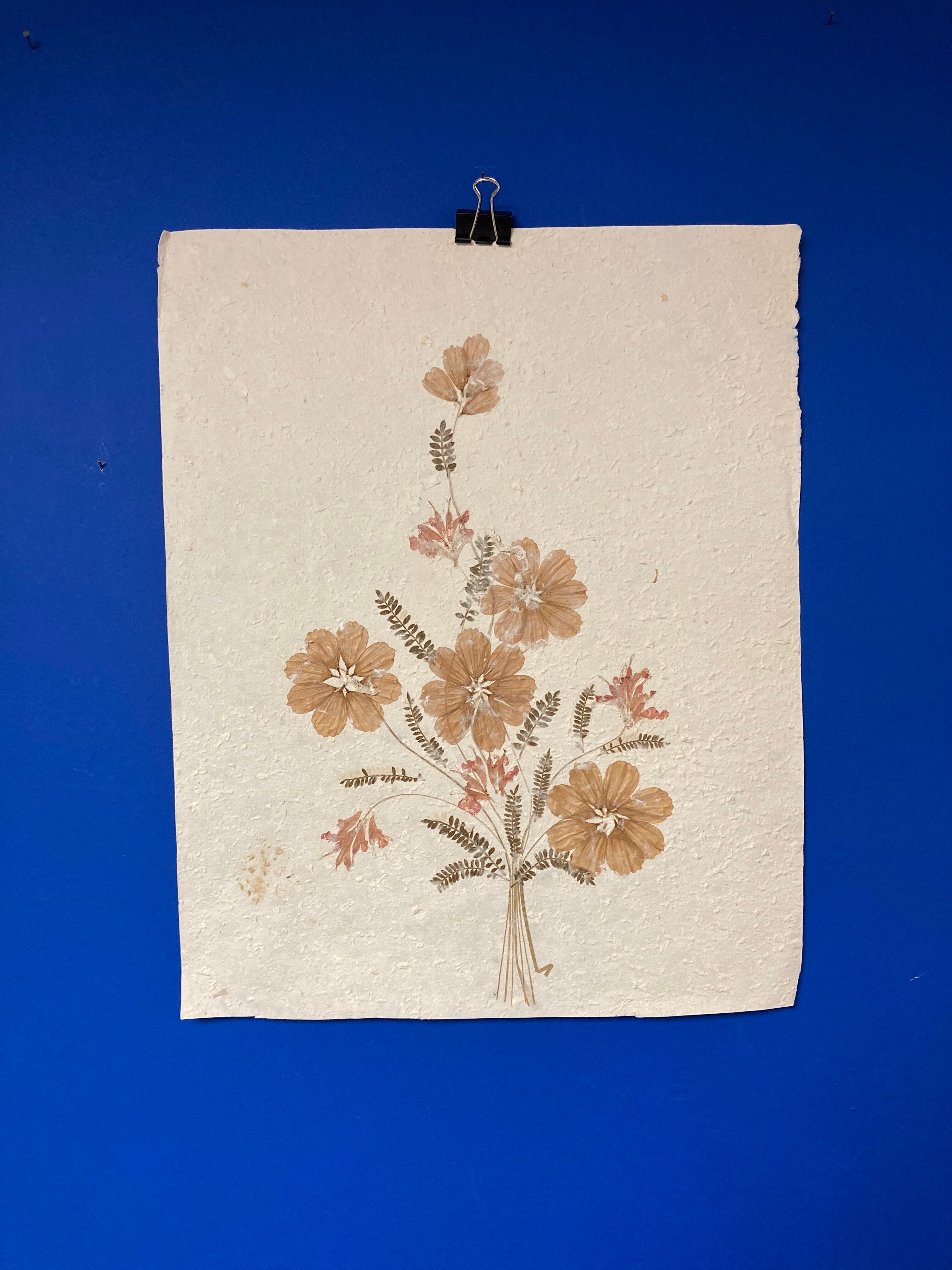 Planche fleurs séchées