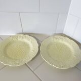 Paire d'assiettes à dessert en majolique jaune Midwinter England, motif feuille de chou