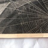 Zoological school poster representing the bat