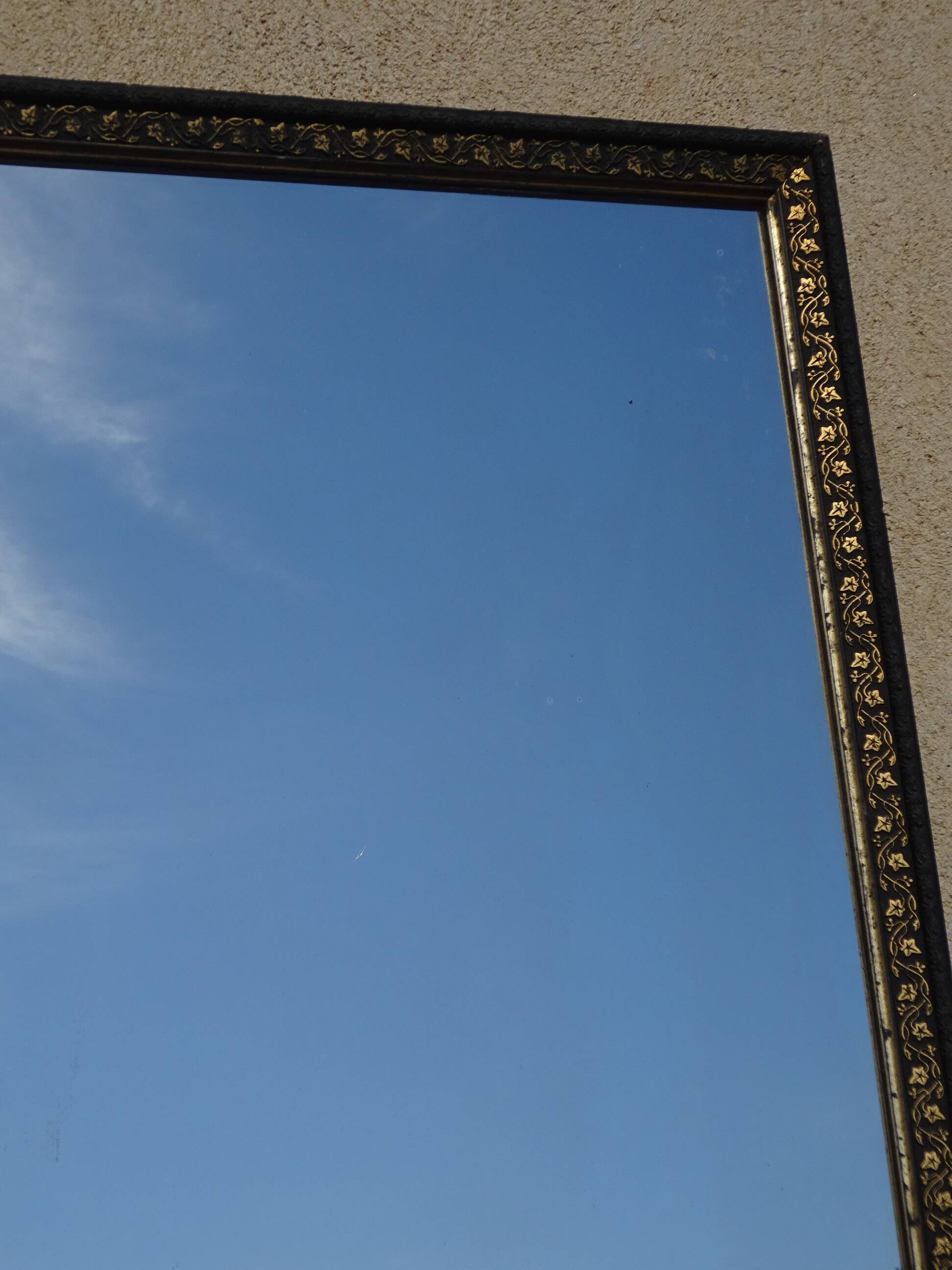 Mirror with black and gold frame, embossed vine leaves