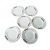 6 flat plates salty iron earth