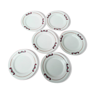 6 assiettes plates terre de fer salins