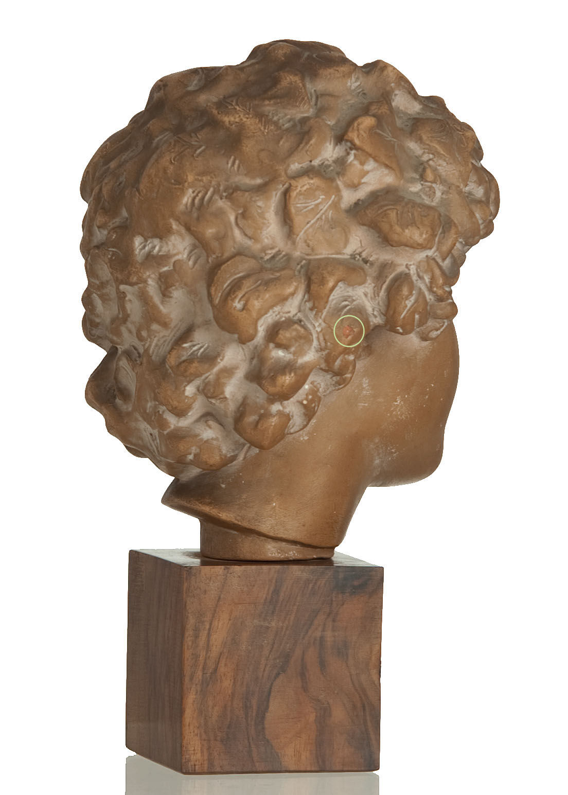 Ephebe terracotta bust