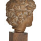 Ephebe terracotta bust