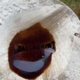 Vase Vallauris