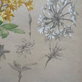 Marcel Corrette, Art Nouveau Floral Study of Rhododendron Luteum Watercolor
