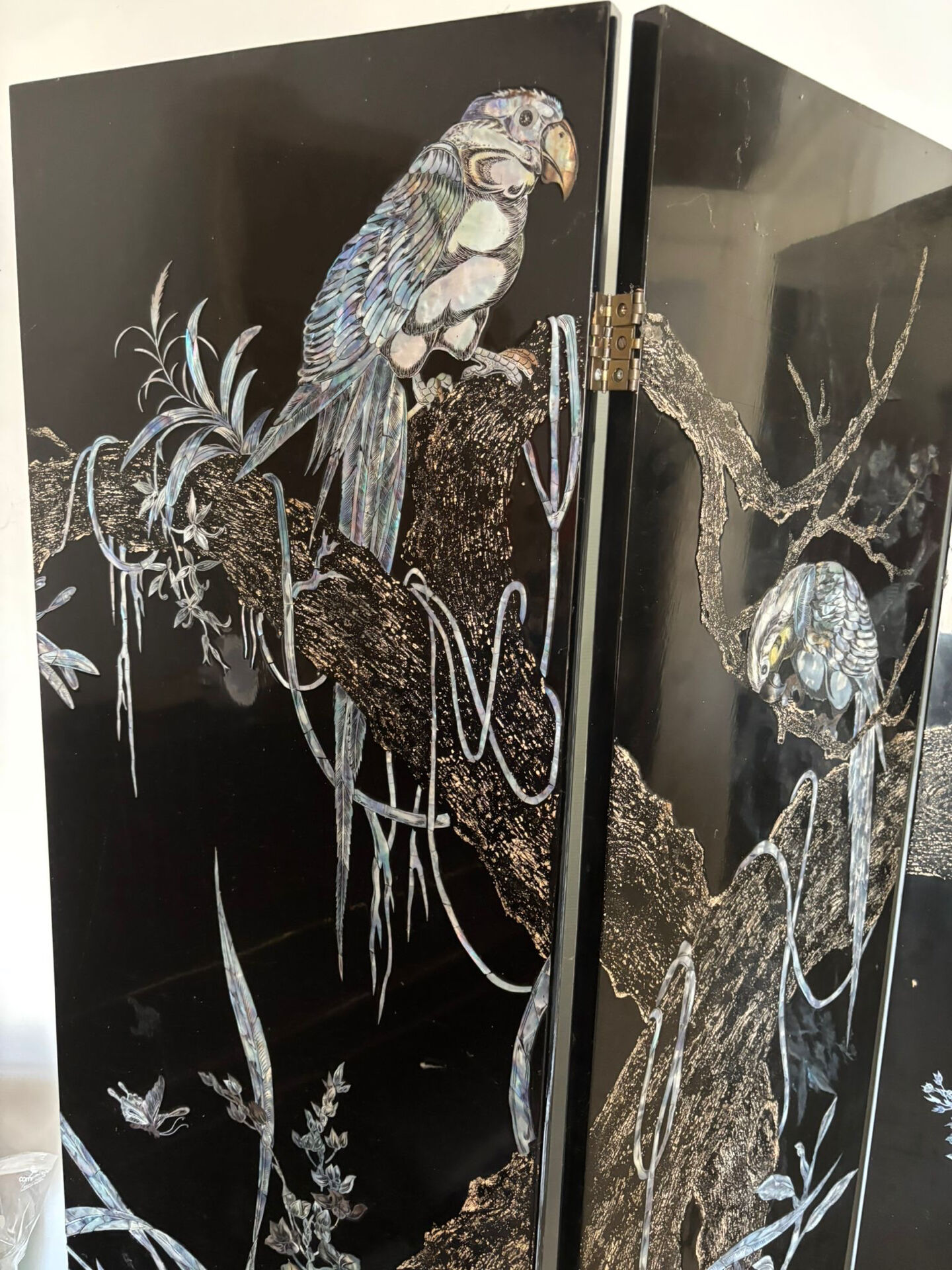 Asian screen (Vietnam - China)