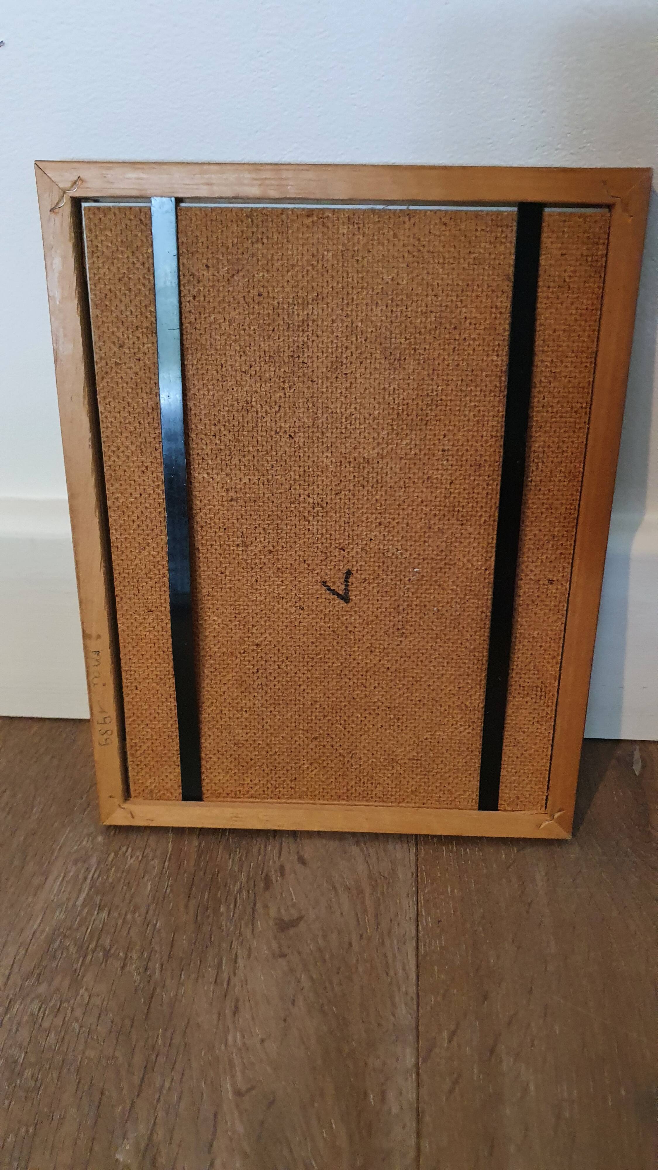 Naturalized butterfly in its old wooden frame