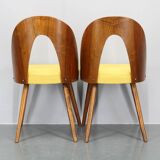 1960s Antonin Suman Set of Four Restored Dining Chairs in Walnut Finish