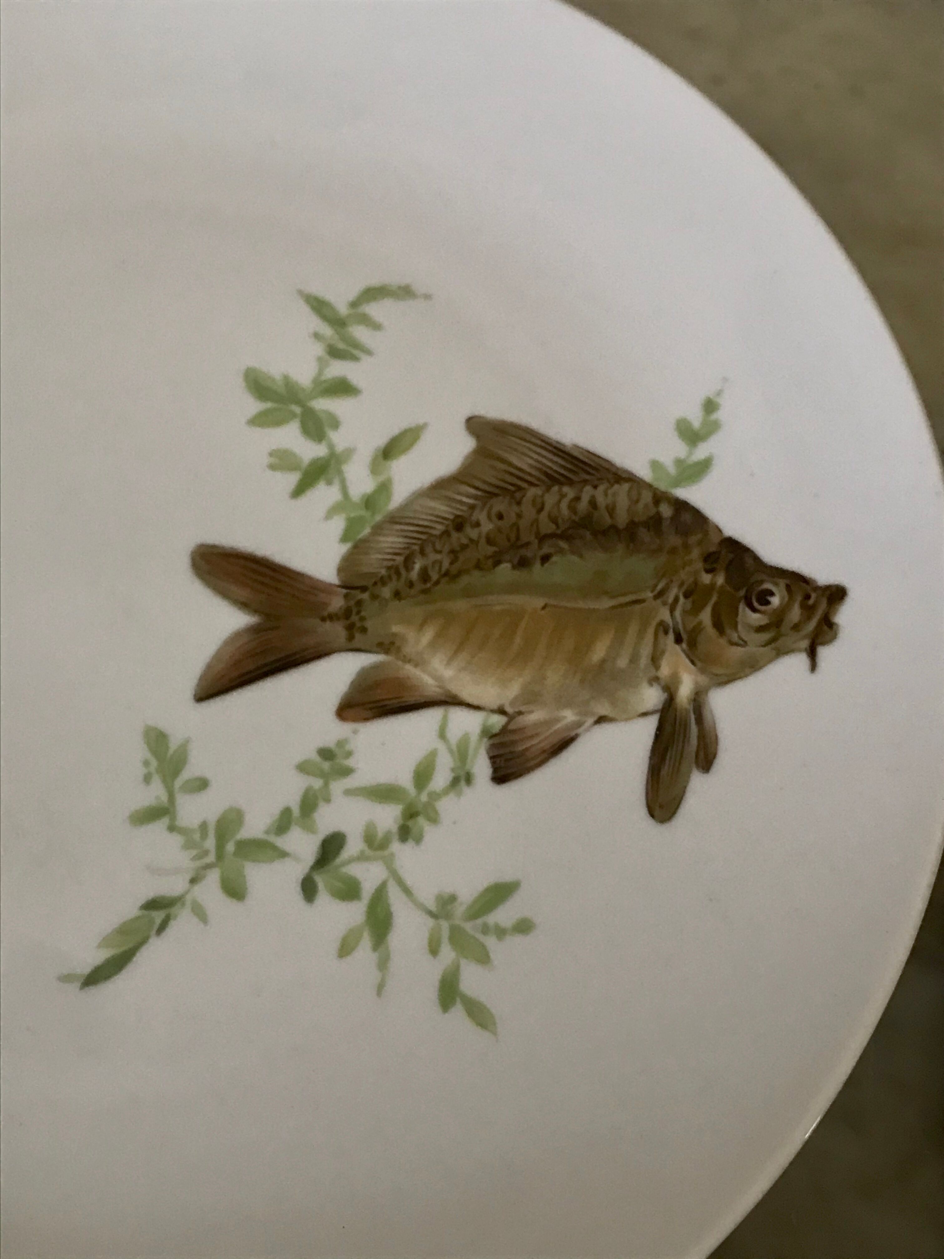 12 assiettes en porcelaine