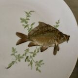 12 porcelain plates
