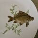 12 assiettes en porcelaine