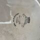 Large flat plate Longwy old Rouen