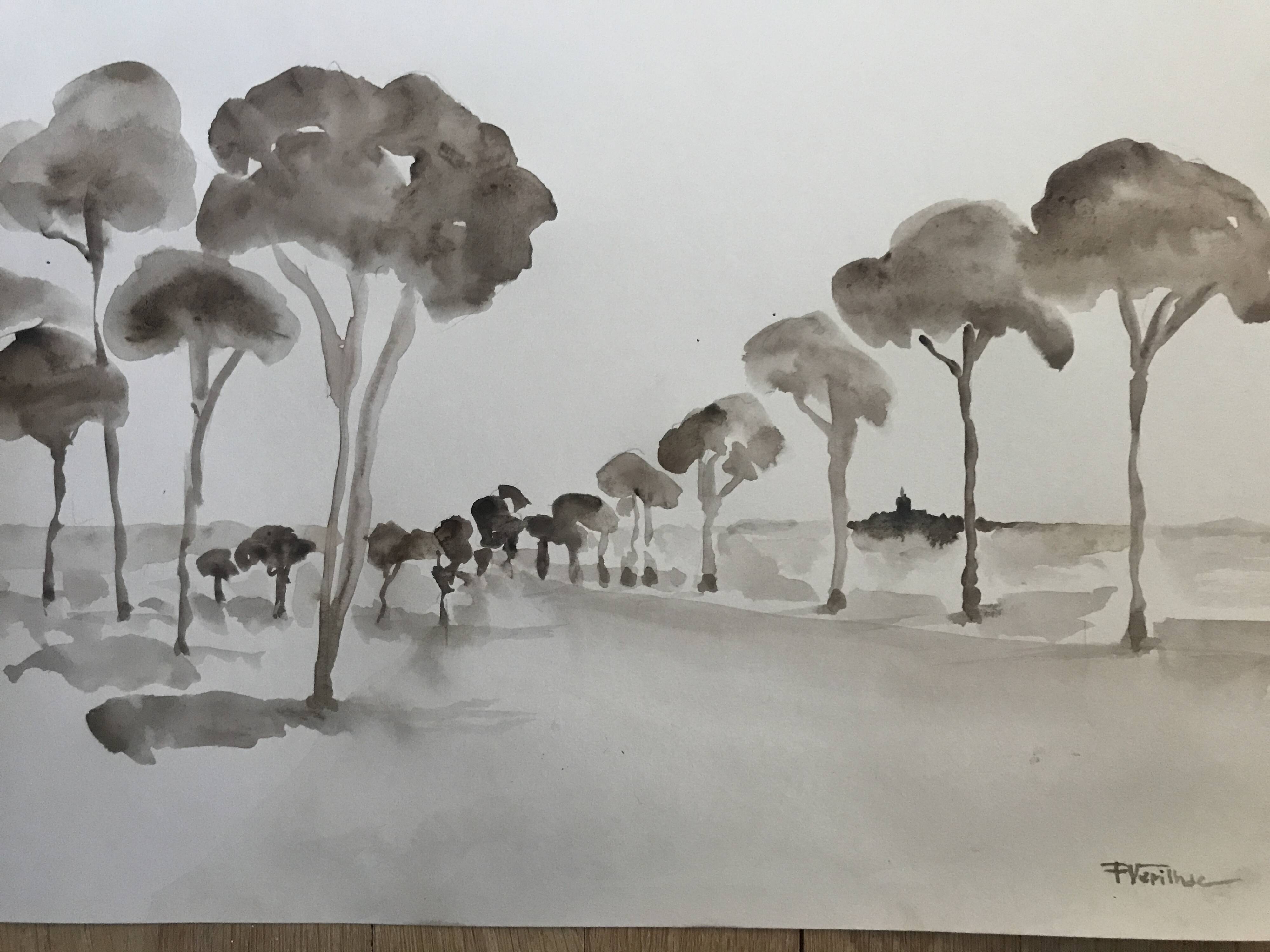 Painting signed monochrome watercolor “pine forest in Provence”