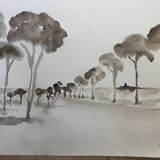 Painting signed monochrome watercolor “pine forest in Provence”
