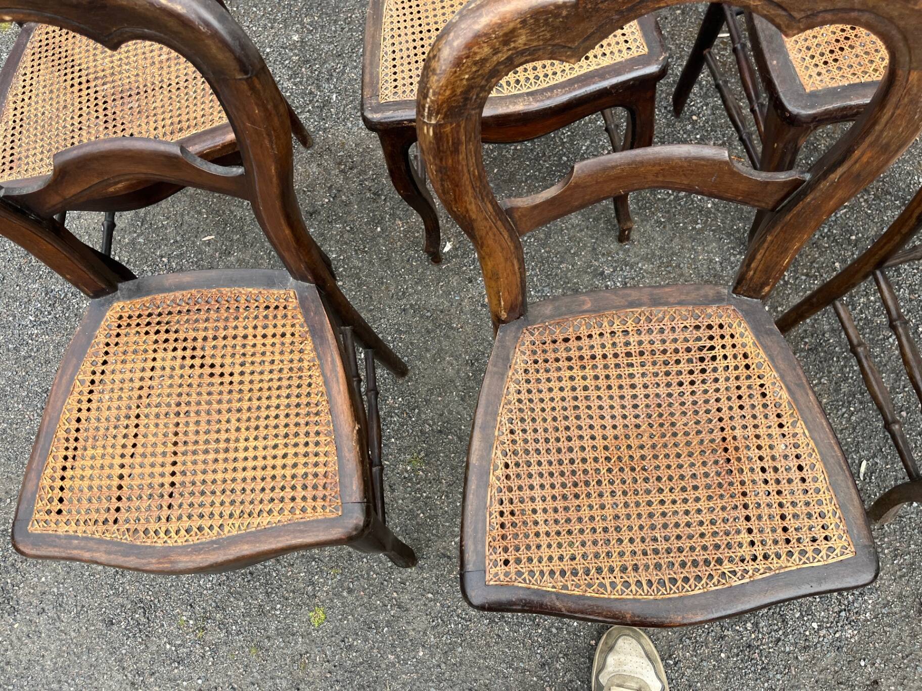 Série de 6 chaises à dossier trilobé de style Louis-Philippe