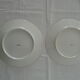 2 flat plates Haviland Limoges blue decoration and gold medallion bird