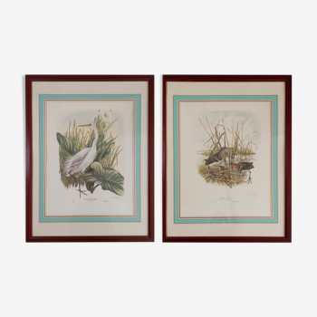 Pair of lithographs by Gail Denise Daroll