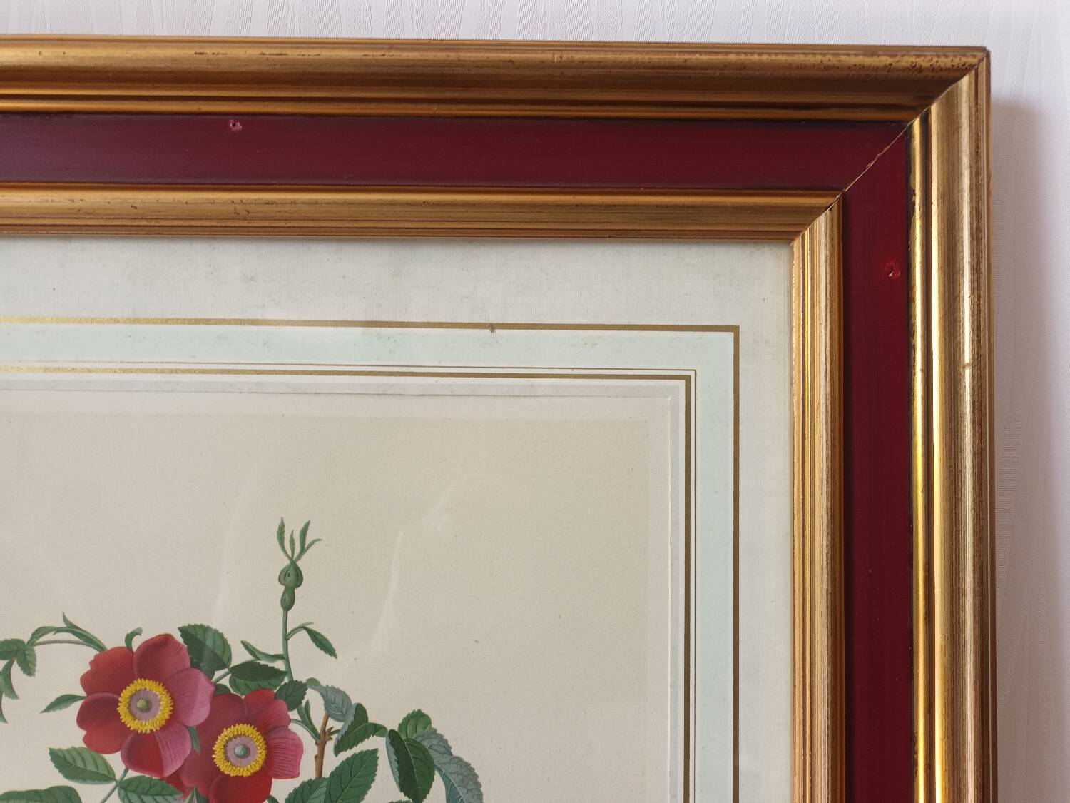 Vintage framed botanical poster