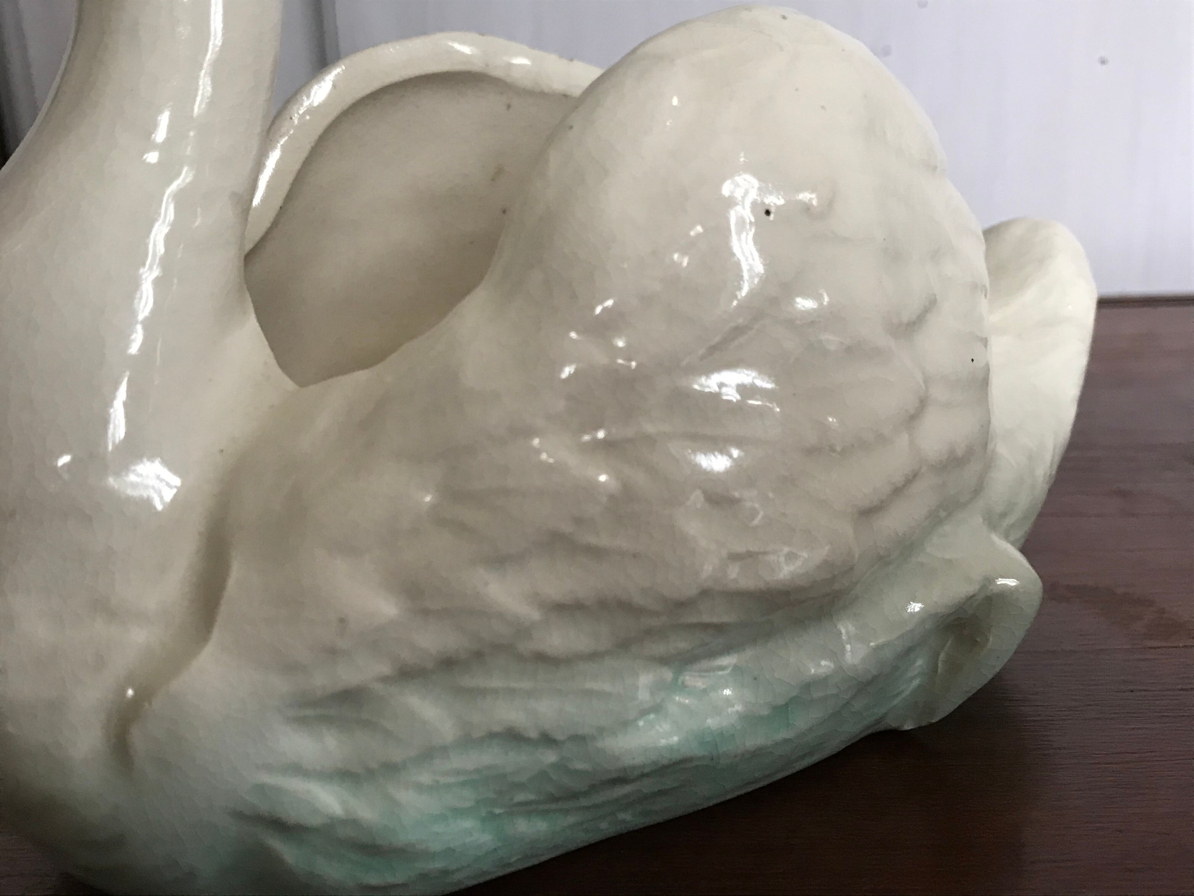 Ancient swan dabbling