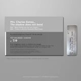 Mrs. Charles Eames_ The shadow does not bend, walnut plywood sculpture