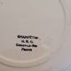 10 flat plates HBC Choisy le Roi