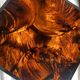 Lucite turtleshell-style tray circa 1970