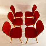 6 MAX BILL chairs by BAUMANN 800 series