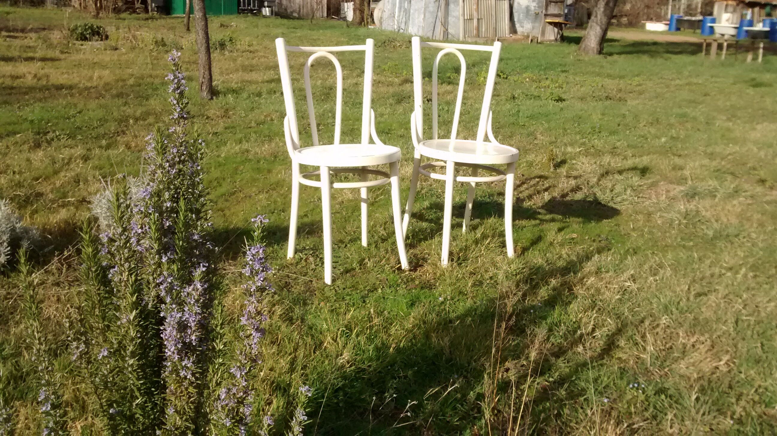 Pair of bistro chairs