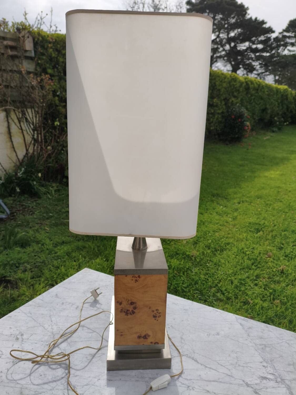 Elm burl lamp