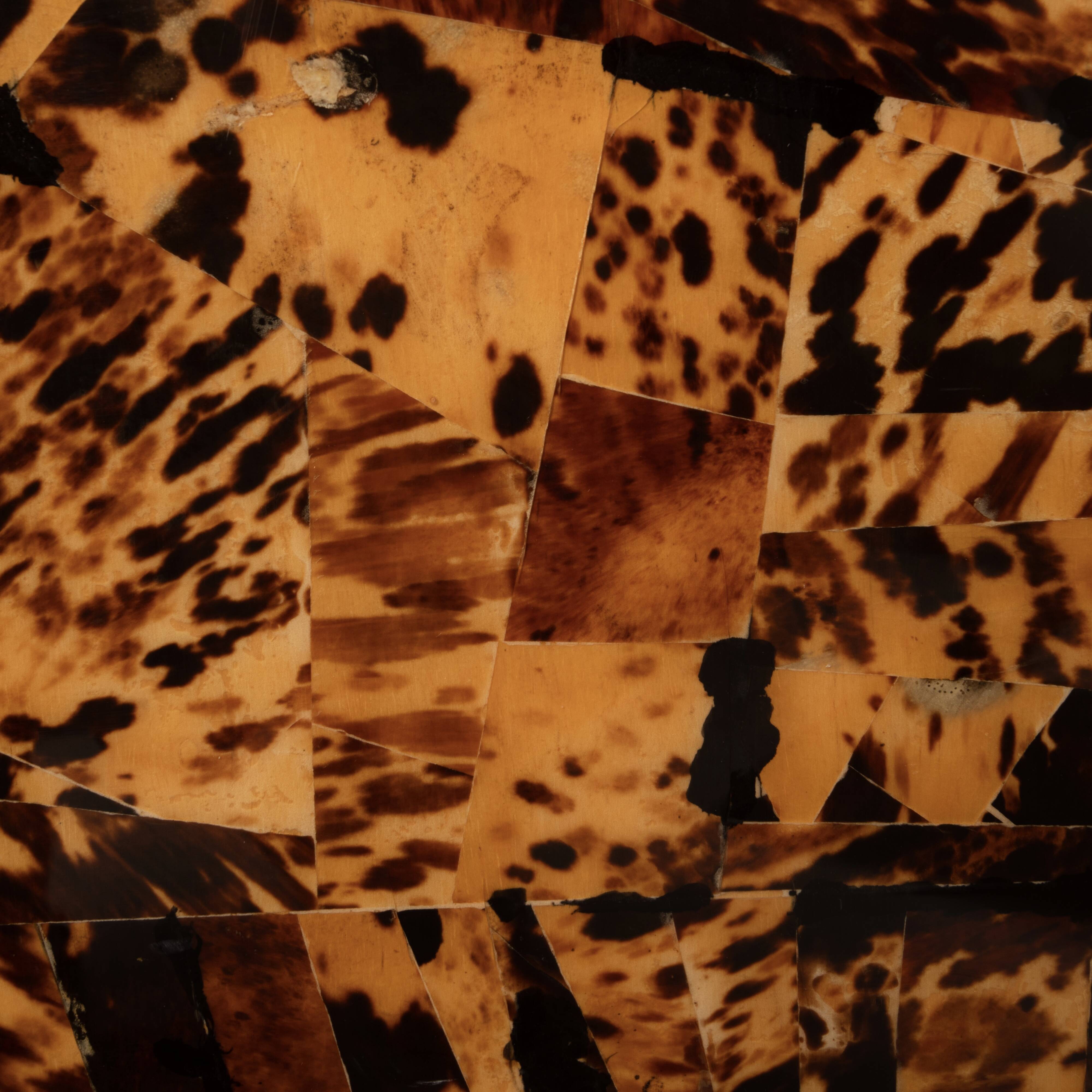 Unique Tortoiseshell Cabinet by Roberto Jodice for Ottini Milano 1974