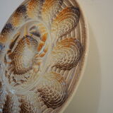 Dish for oysters